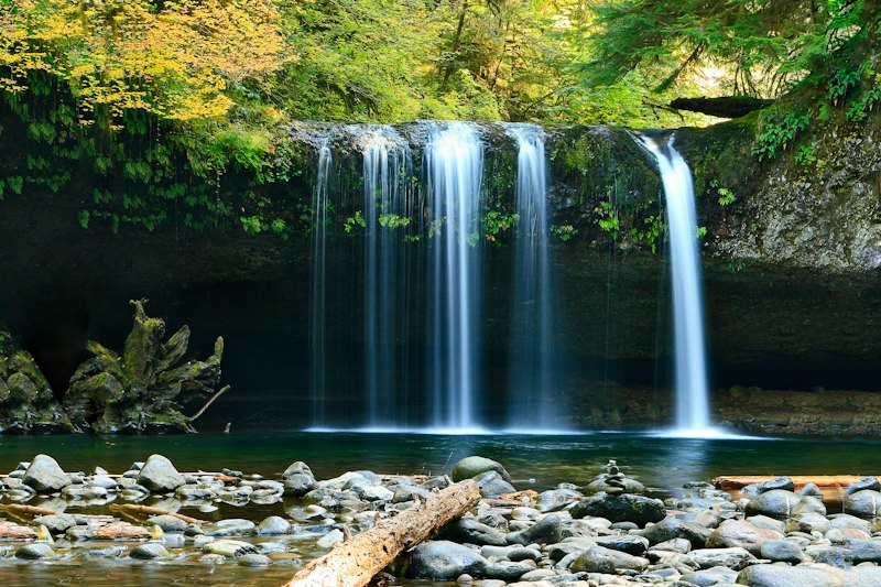 native-cutthroat-trout-mountain-stream